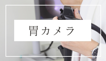 胃カメラ
