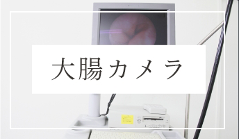 大腸カメラ