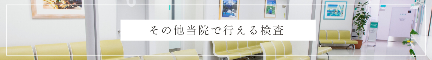 その他当院で行える検査